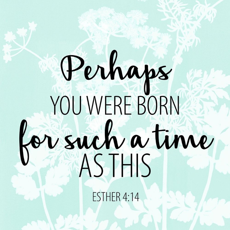 Picture of BORN