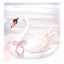 Picture of PINK SWAN 2