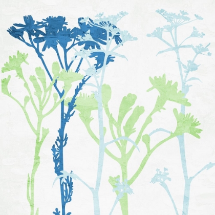 Picture of SPRING SILHOUETTE FLORAL 1