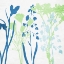 Picture of SPRING SILHOUETTE FLORAL 2