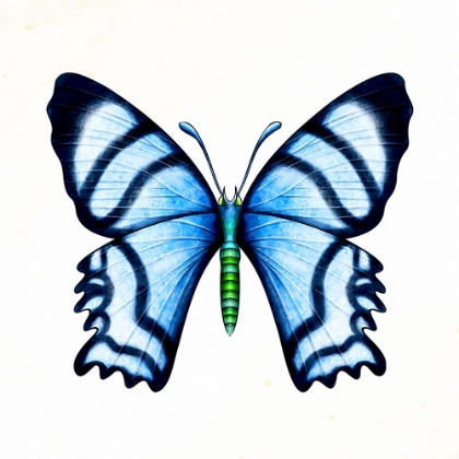 Picture of SPRING FLIGHT 1