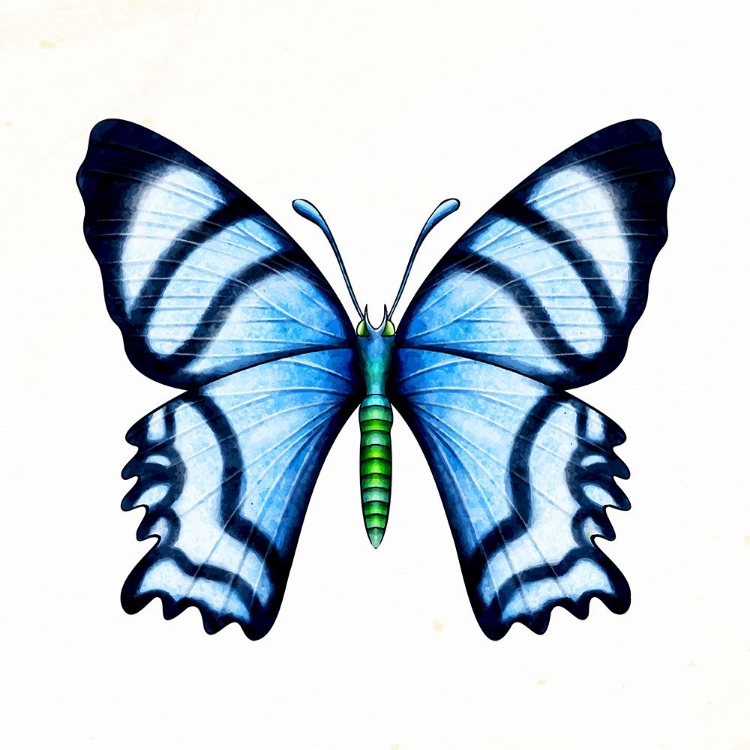 Picture of SPRING FLIGHT 1