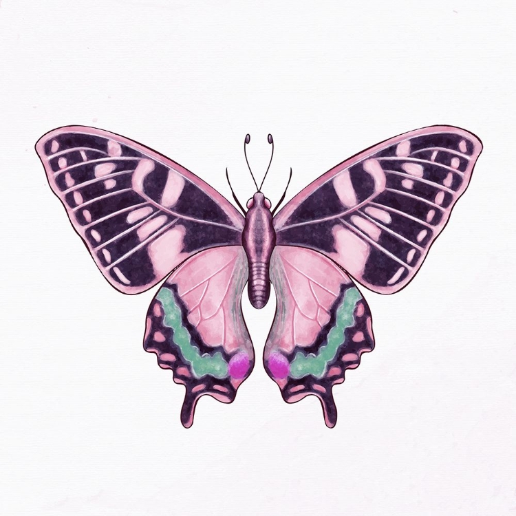 Picture of SPRING FLIGHT 2