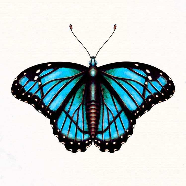 Picture of SPRING FLIGHT 3