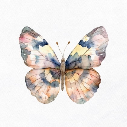 Picture of WATERCOLOR BUTTERFLY 3