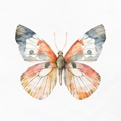 Picture of WATERCOLOR BUTTERFLY 4