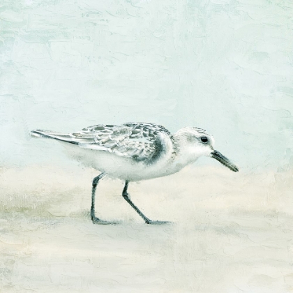 Picture of SANDPIPER 1