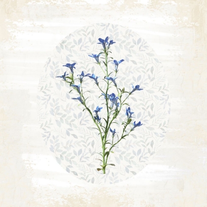 Picture of OVAL FLORAL 1