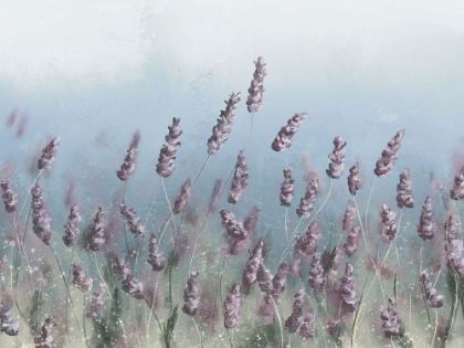 Picture of WILDFLOWERS BLUE SKY
