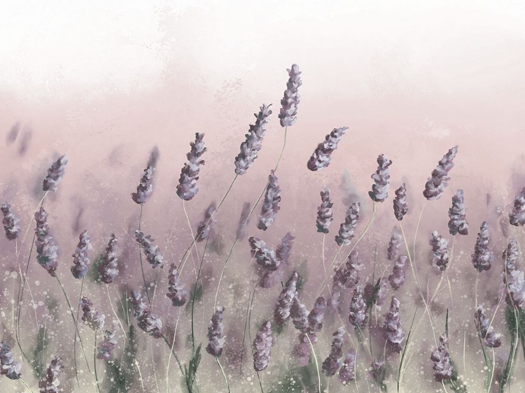 Picture of WILDFLOWERS PINK SKY