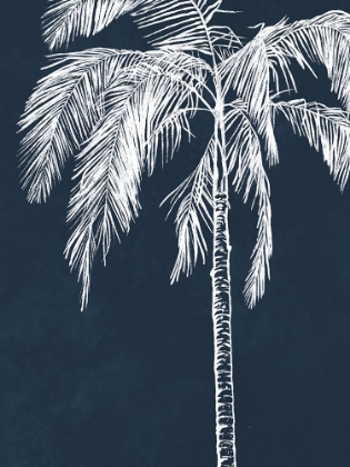 Picture of BLUE PALM V2