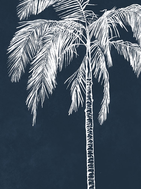 Picture of BLUE PALM V2