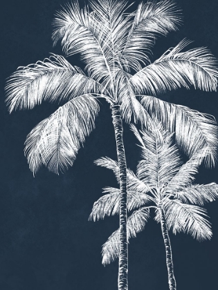 Picture of BLUE PALM 2