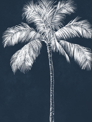 Picture of BLUE PALM 3