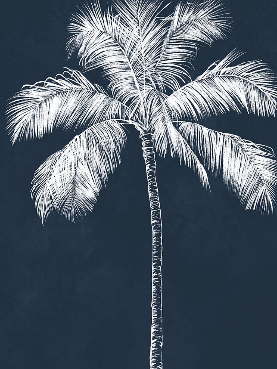 Picture of BLUE PALM 3
