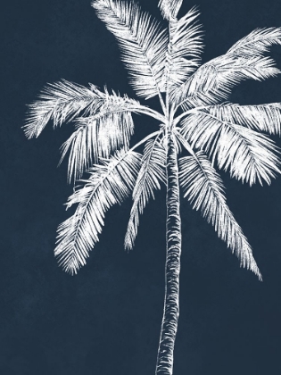 Picture of BLUE PALM 4