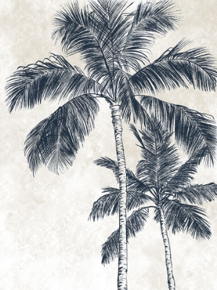Picture of CREAM PALM 2