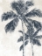 Picture of CREAM PALM 2