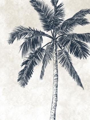 Picture of CREAM PALM 4