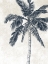 Picture of CREAM PALM 4