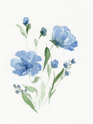 Picture of WATERCOLOR FLOWERS
