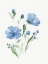 Picture of WATERCOLOR FLOWERS