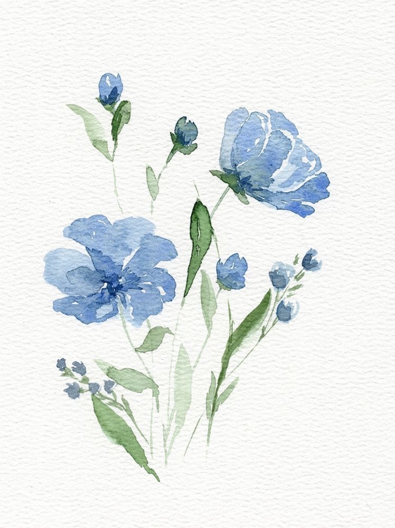 Picture of WATERCOLOR FLOWERS