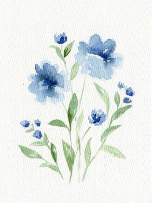 Picture of WATERCOLOR FLOWERS 2