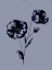 Picture of FLOWER STUDY 1