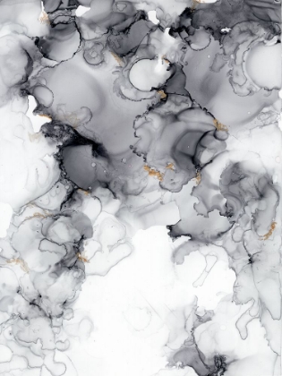 Picture of ALCOHOL INK BLACK AND WHITE 1