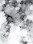 Picture of ALCOHOL INK BLACK AND WHITE 1