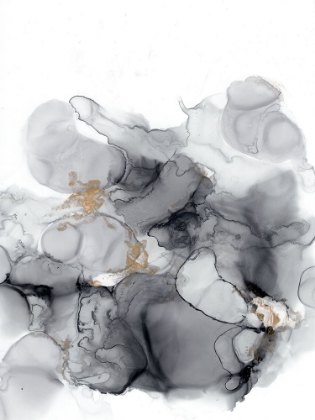 Picture of ALCOHOL INK BLACK AND WHITE 2