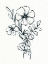 Picture of INK BOUQUET 3