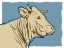 Picture of COW SKETCH