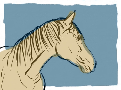 Picture of HORSE SKETCH