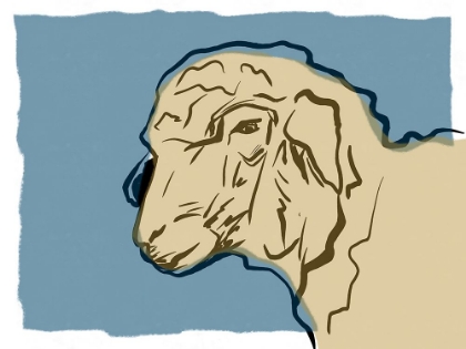Picture of SHEEP SKETCH