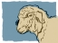 Picture of SHEEP SKETCH