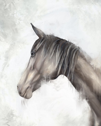 Picture of HORSE PROFILE
