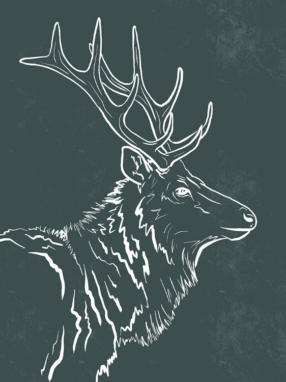 Picture of MOOSE