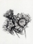 Picture of SUNFLOWERS IN CHARCOAL 1