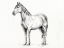 Picture of HORSE IN CHARCOAL