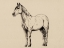 Picture of HORSE IN CHARCOAL V2