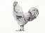 Picture of ROOSTER IN CHARCOAL
