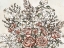 Picture of STEMS AND BRANCHES 3