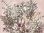 Picture of BOHO FLORALS