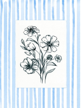 Picture of ILLUSTRATED WITH BORDER 3