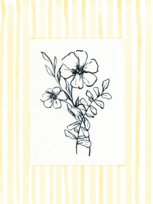 Picture of ILLUSTRATED WITH YELLOW BORDER 1