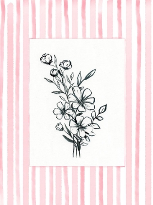 Picture of PETALS WITH BORDER 2
