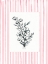 Picture of PETALS WITH BORDER 2
