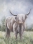 Picture of HIGHLAND COW 1